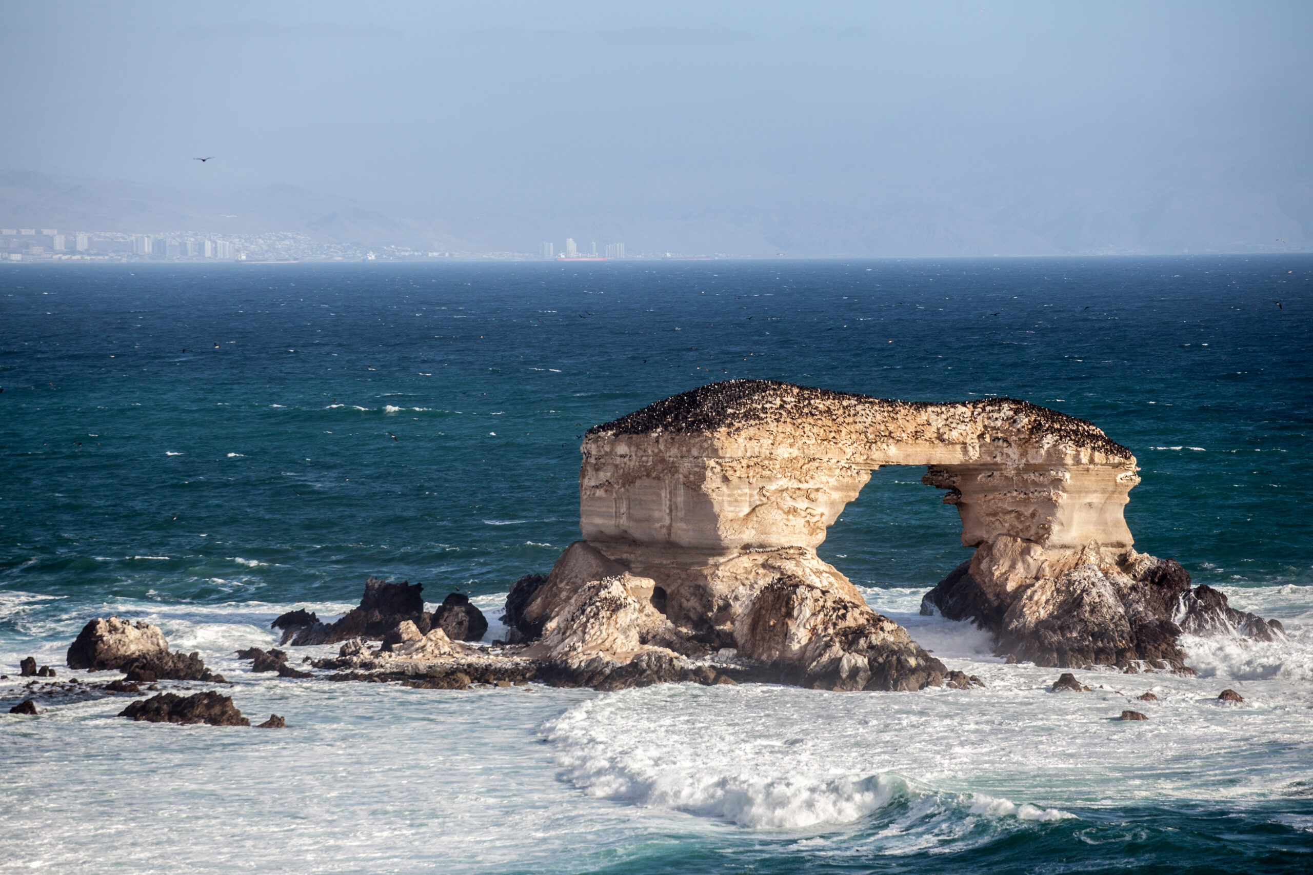 Antofagasta