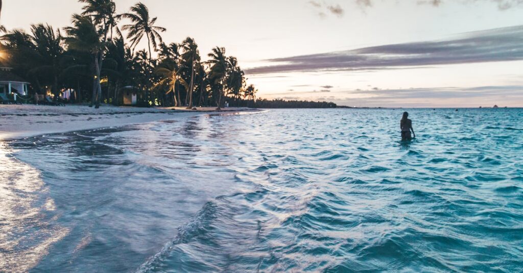 Silhouette on a tranquil beach in Punta Cana during twilight, capturing a peaceful tropical scene.