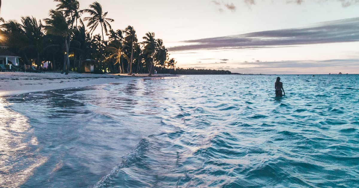 Silhouette on a tranquil beach in Punta Cana during twilight, capturing a peaceful tropical scene.
